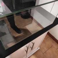 Acquario fluvial 23 litri 