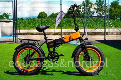 Bicicletta elettrica a pedalata assistita