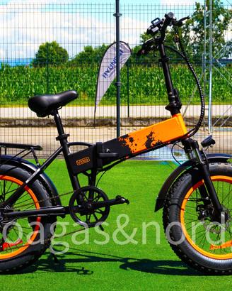 Bicicletta elettrica a pedalata assistita