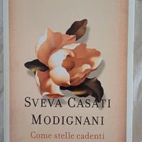 libro Come stelle cadenti