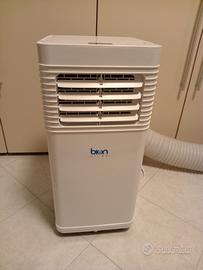 condizionatore portatile  pinguino Bion