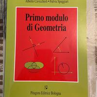 Primo modulo di Geometria