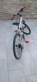 Bicicletta misura 24