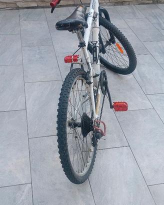 Bicicletta misura 24
