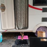 Roulotte Premio 490 TL