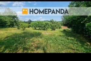 Terreno agricolo disponibile da subito