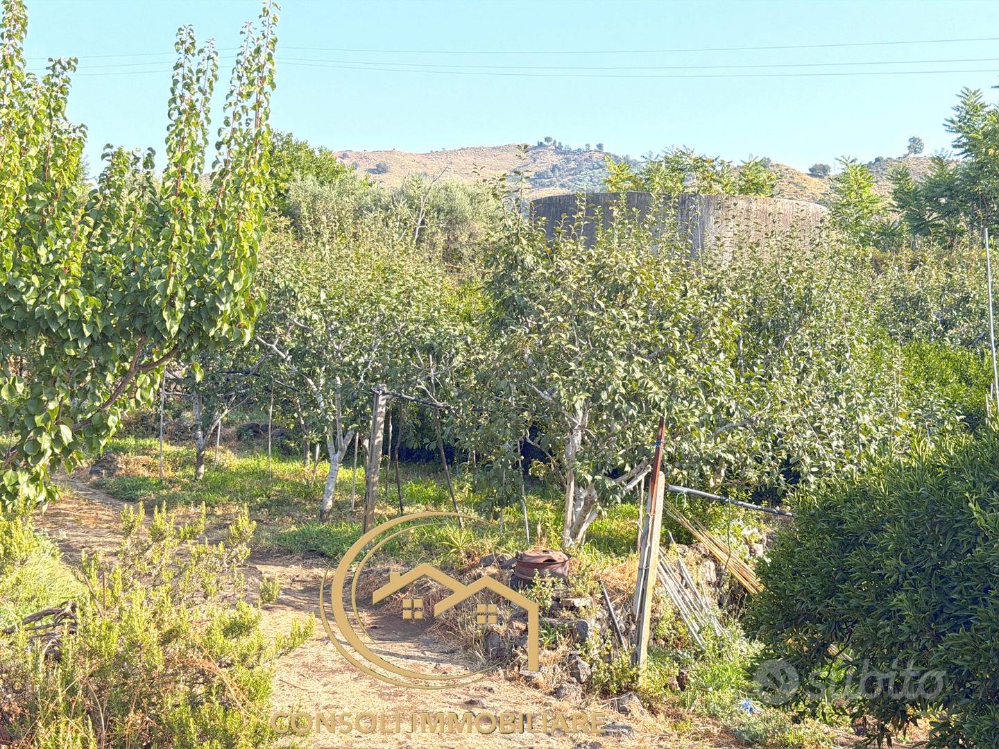 Agrumeto, frutteto, uliveto a Piedimonte Etneo - Altro