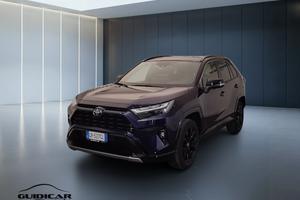 TOYOTA Rav4 V 2019 - Rav4 2.5 vvt-ie h Style 2wd 2