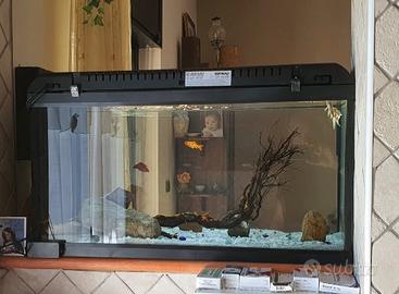 Acquario 90 litri