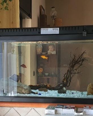 Acquario 90 litri