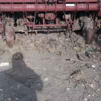 Vangatrice gramegna 10 vange