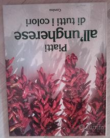 PIATTI ALL'UNGHERESE DI TUTTI I COLORI - CORVINA