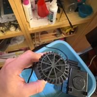 Ventole movimento acquario marino