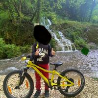 Scott Scale 20” colori World Cup