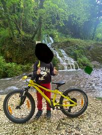 Scott Scale 20” colori World Cup