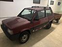 fiat-panda-1000-cat-sisley