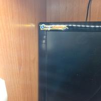 monitor asus