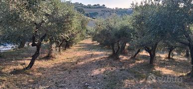Il terreno per la tua nuova villetta nel cuore del