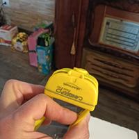 Canibeep Radio Pro collare per cani