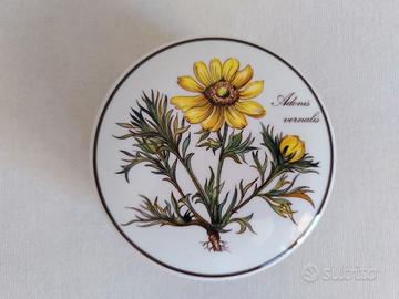 Scatola Villeroy&Boch. Botanica. Adonis Vernalis