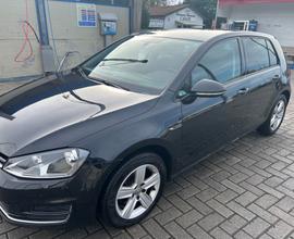 Volkswagen Golf 1.6 TDI 110 CV 5p. Executive BlueM