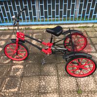 Bicicletta a 3 ruote paioli il formicone vintage