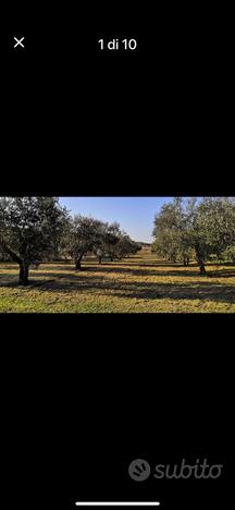 Terreno località Pezze di Ninfa (Cori)