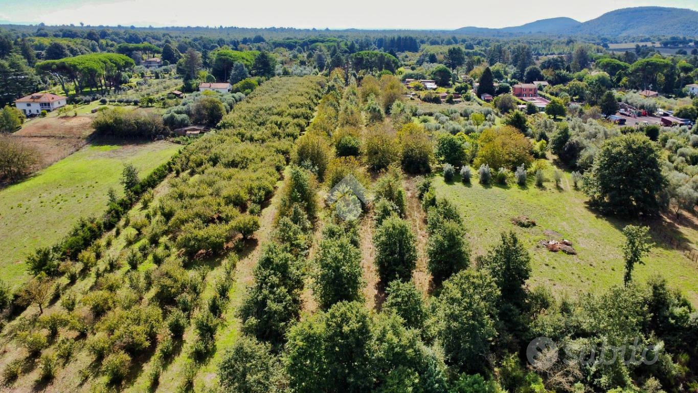 TER. AGRICOLO A MANZIANA - Vista 2