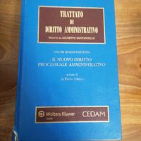 Trattato di diritto amministrativo 