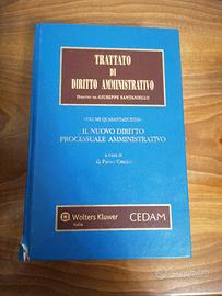 Trattato di diritto amministrativo 