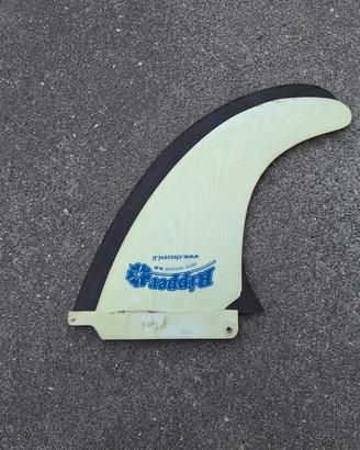 pinna da windsurf