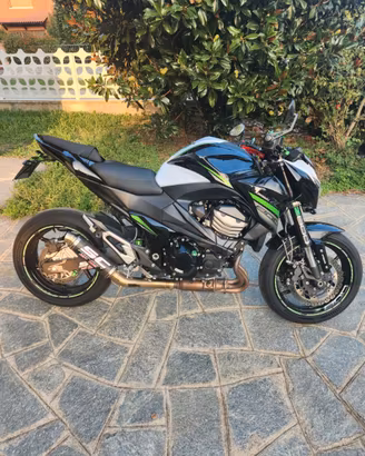 Kawasaki Z800e
