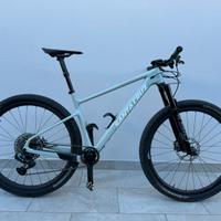 Santacruz highball CC - tutto al top 8,9 KG