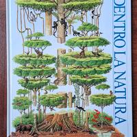 libro DENTRO LA NATURA Fabbri Editori edizione 1