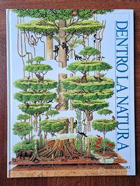 libro DENTRO LA NATURA Fabbri Editori edizione 1