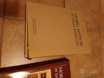 mobili antichi in Emilia Romagna 