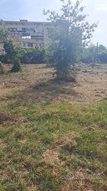 Terreno agricolo
