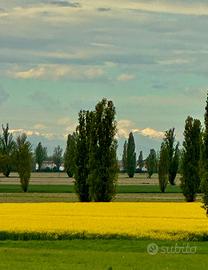 Splendido Agriturismo e abitazioni annesse