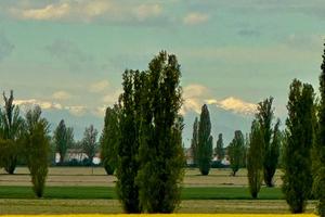 Splendido Agriturismo e abitazioni annesse