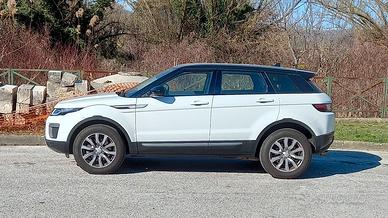 Evoque 2016