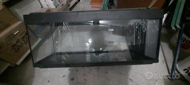 acquario 