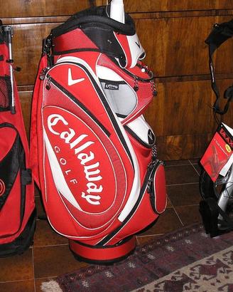 Sacche mazze e carrello da golf