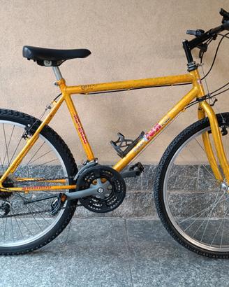 Bicicletta MTB