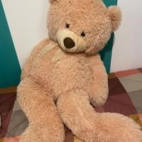 Orso gigante peluche