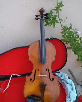 violino primi del '900