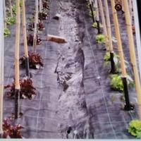 Tela per pacciamatura