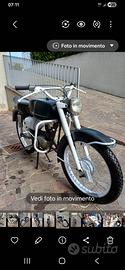 moto benelli 50 