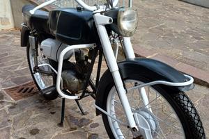 moto benelli 50 