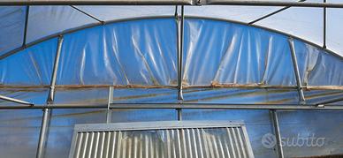 Serra professionale 2000 metri quadri