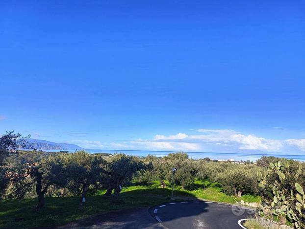 Terreno Agricolo Terme Vigliatore